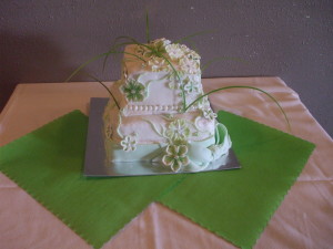 Small 2 Tier w/ Hand Painted Fondant Flowers and Ribbon